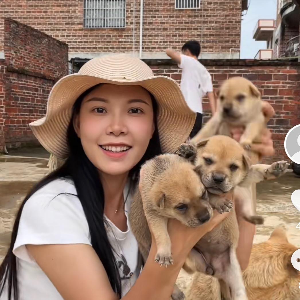 爱玩狗的康康