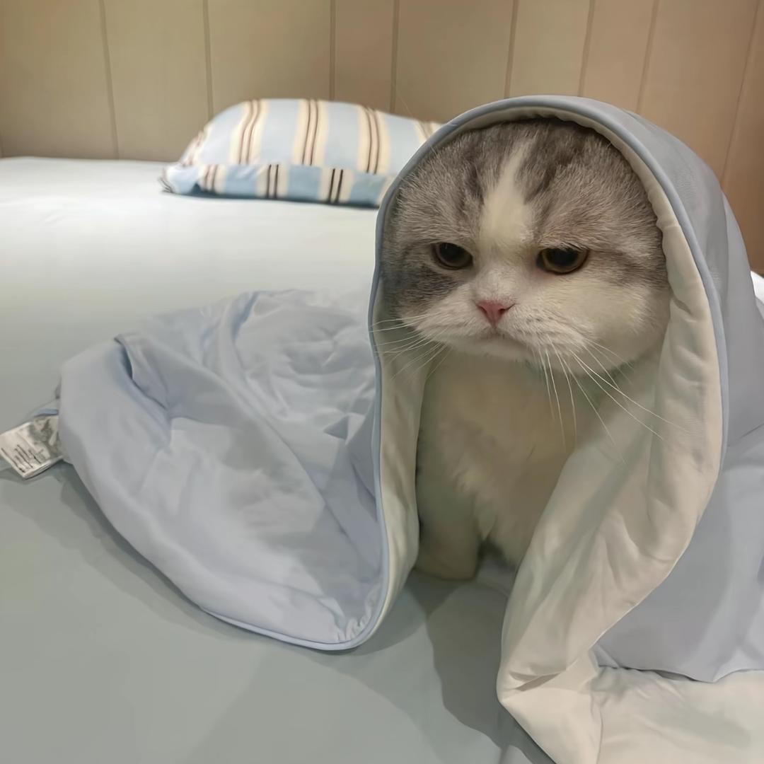 阴天转晴