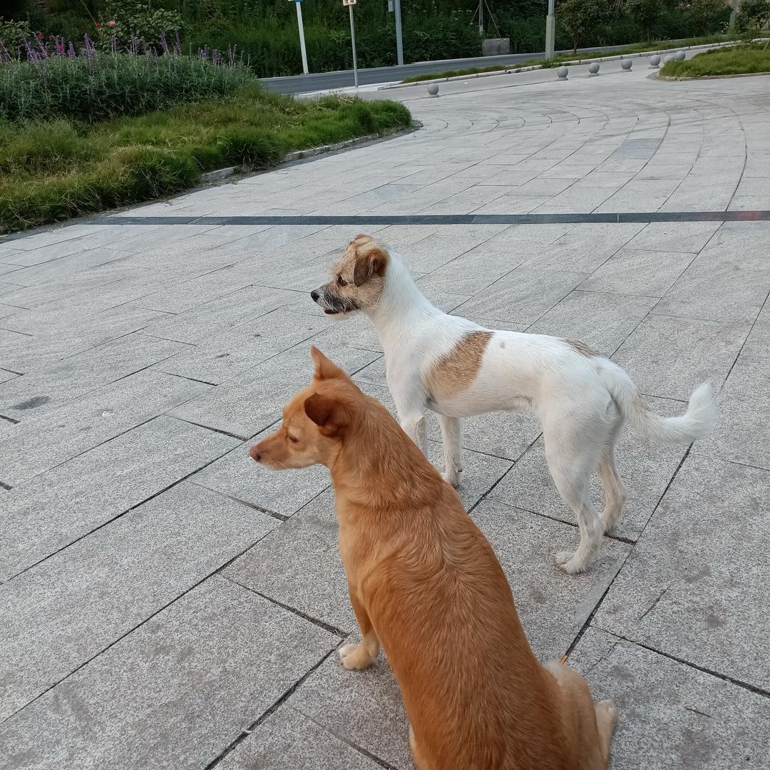 我爱我家头像