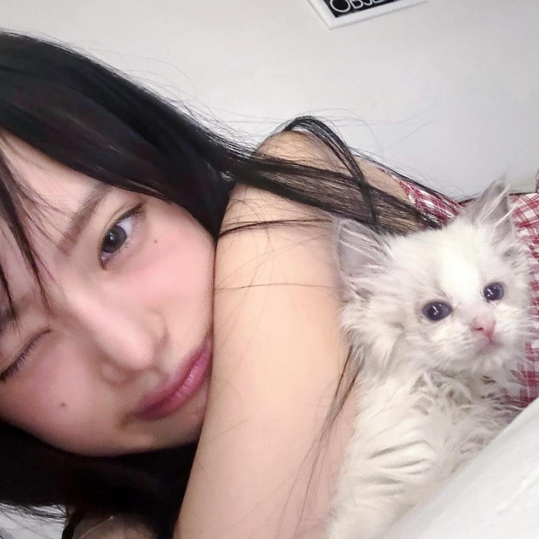 我小猫左脸有痣