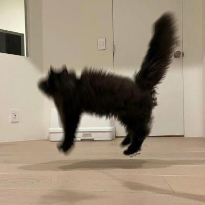 山楂干陈皮天东