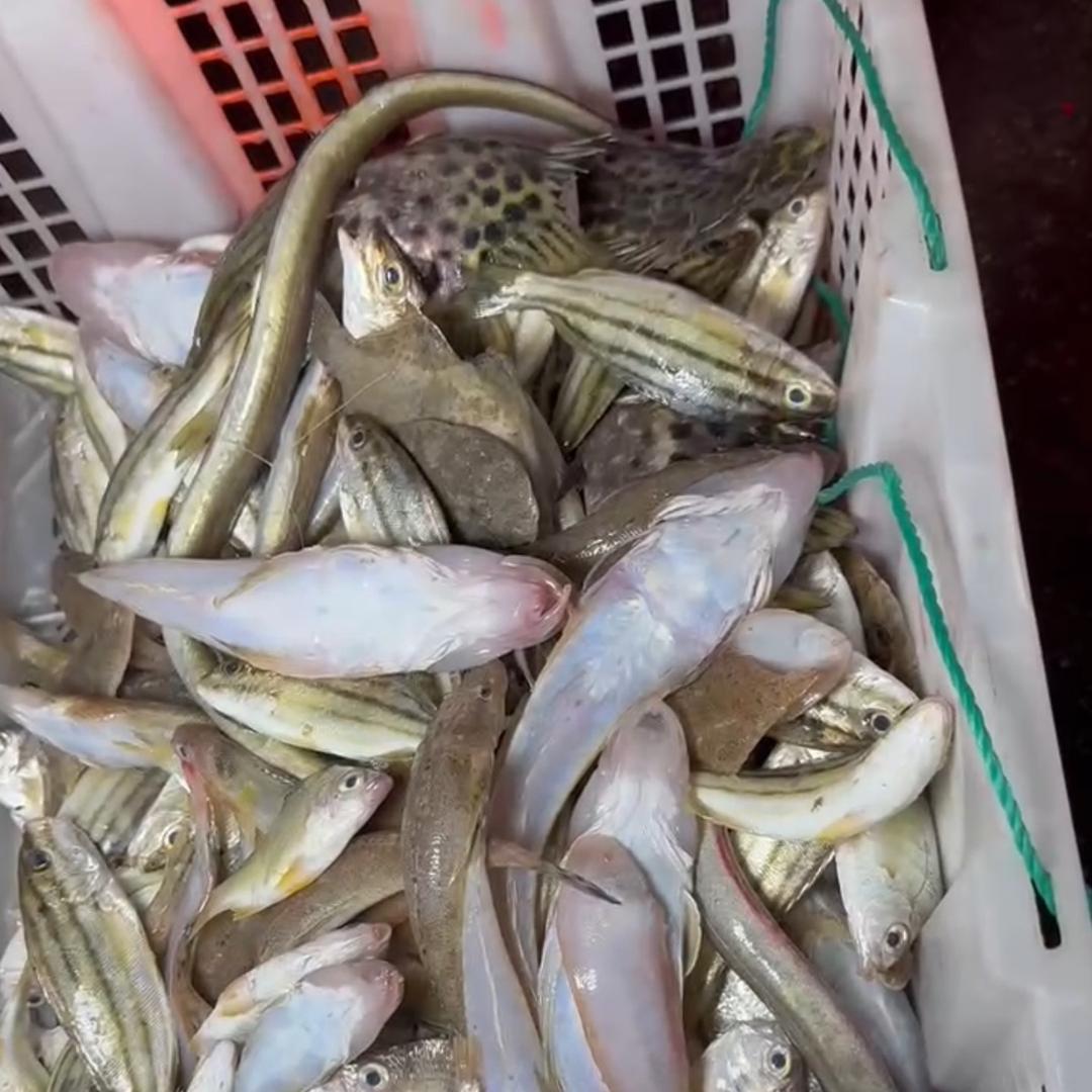 龙龙（海鲜）