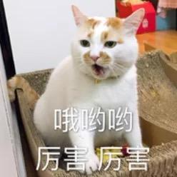 爸爸
