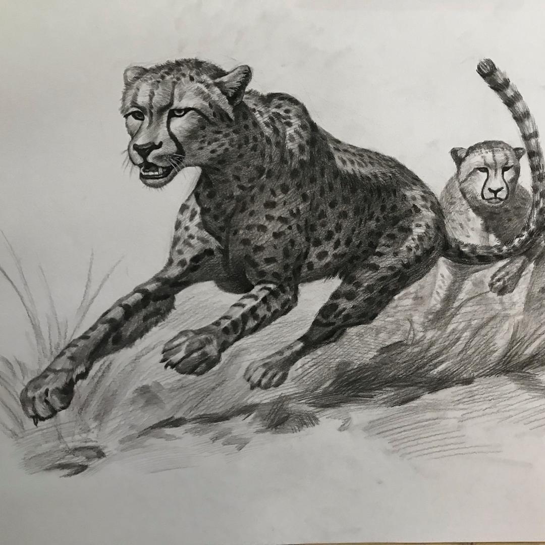 阿木画