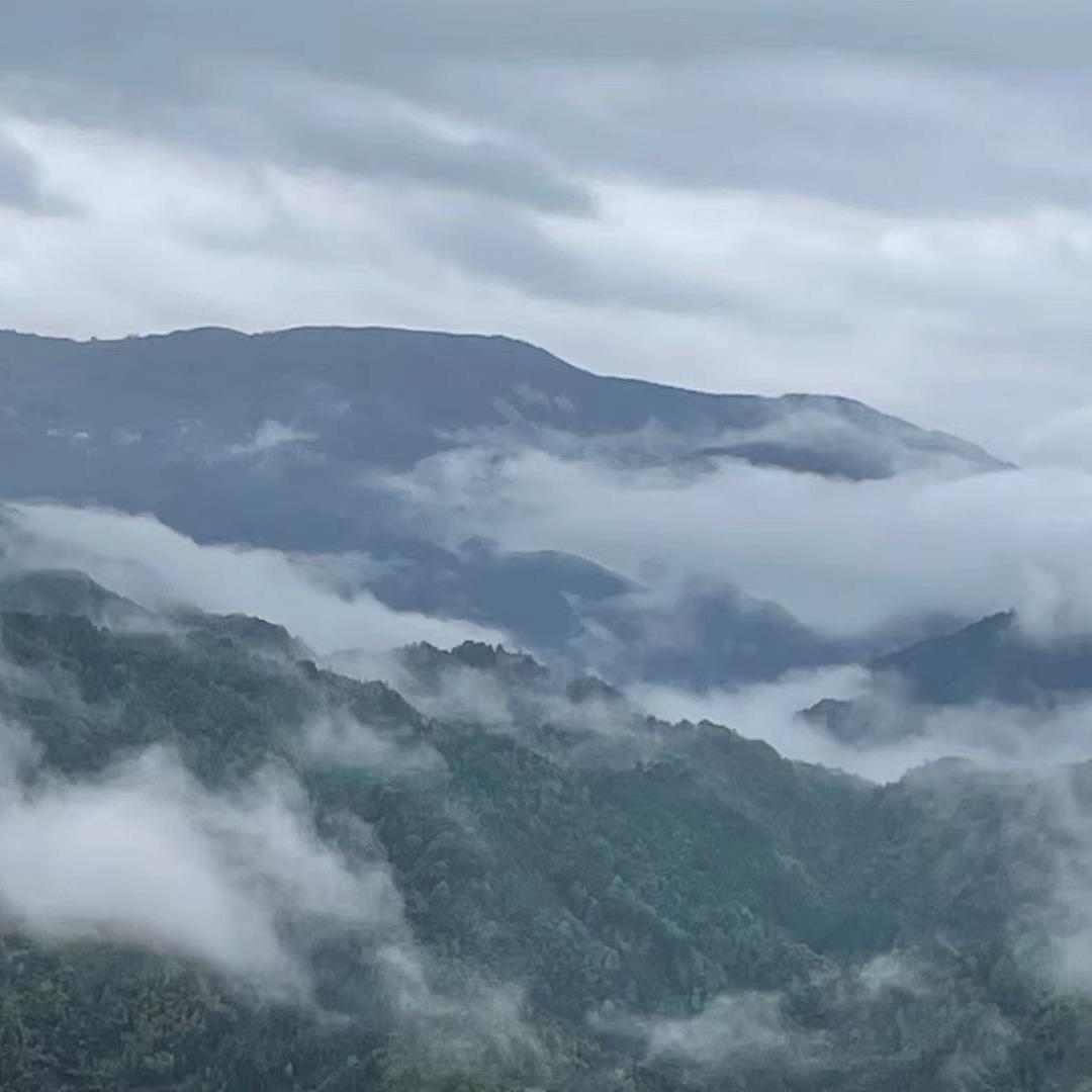 北风路