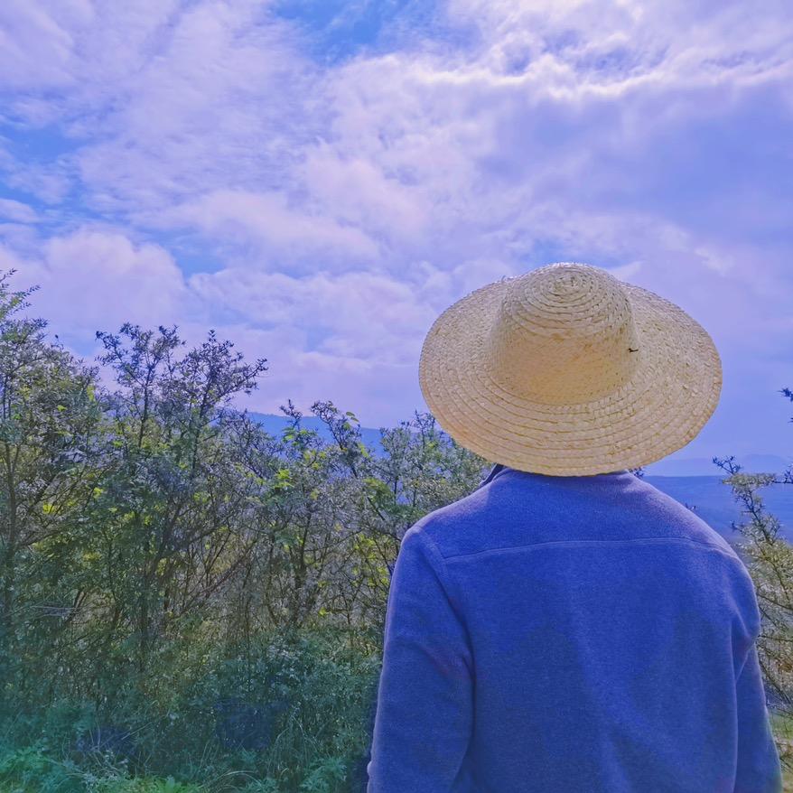 宁夏泥哇呜