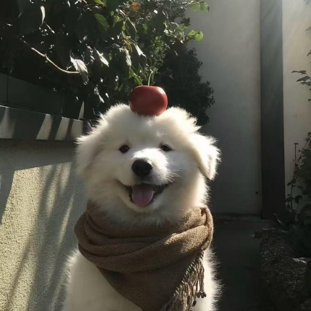 金牌厨师长