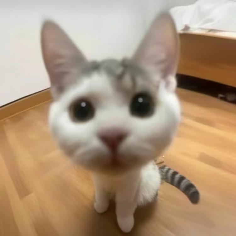 录听片