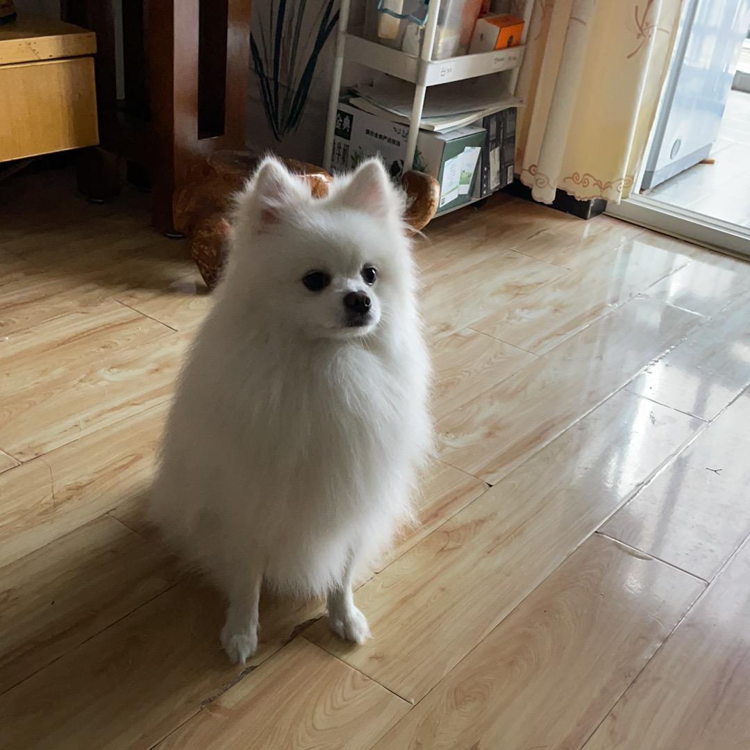 素行