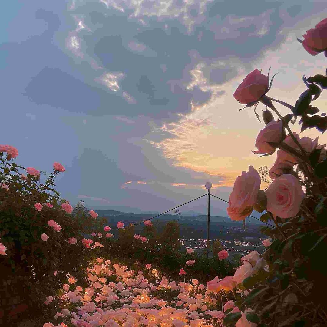 无名小路