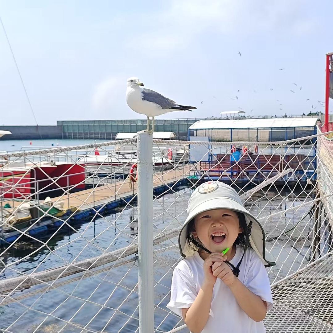 万事如意🧚‍♀️