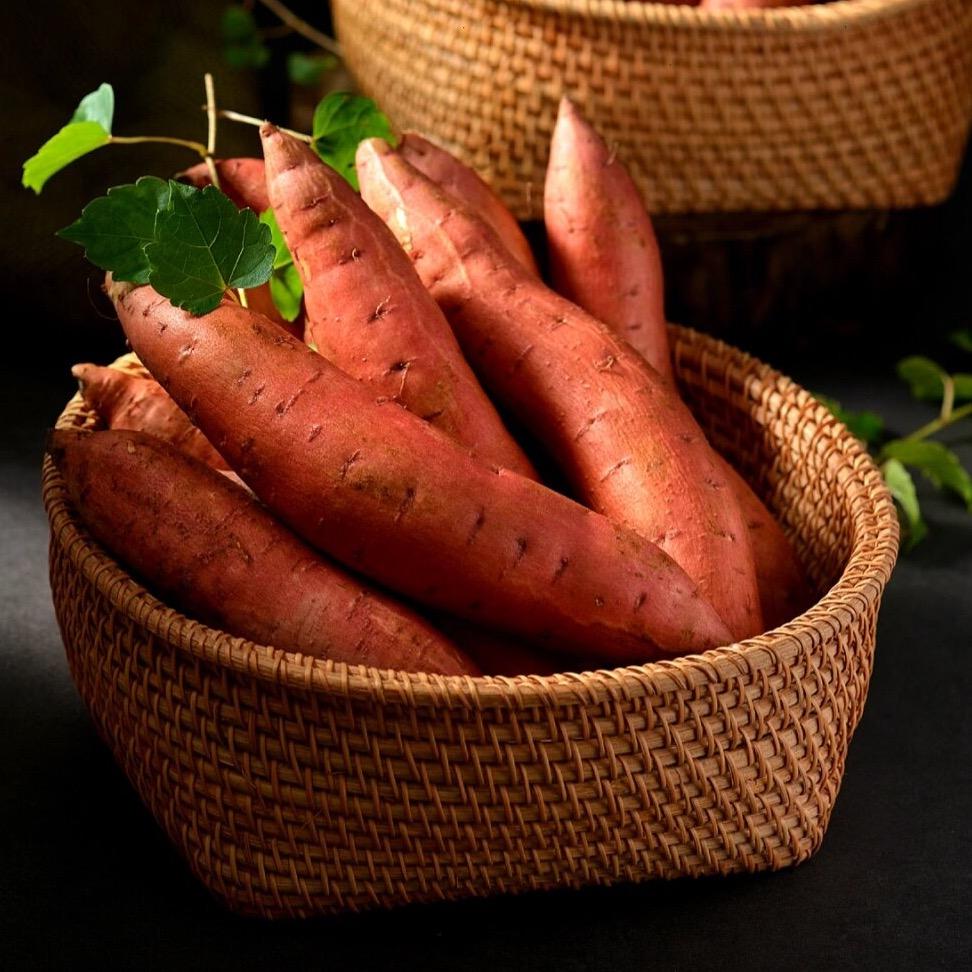 西瓜红蜜薯的秘密🍠