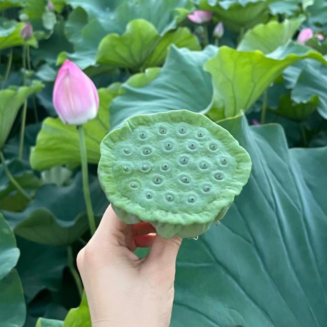 小可爱吖