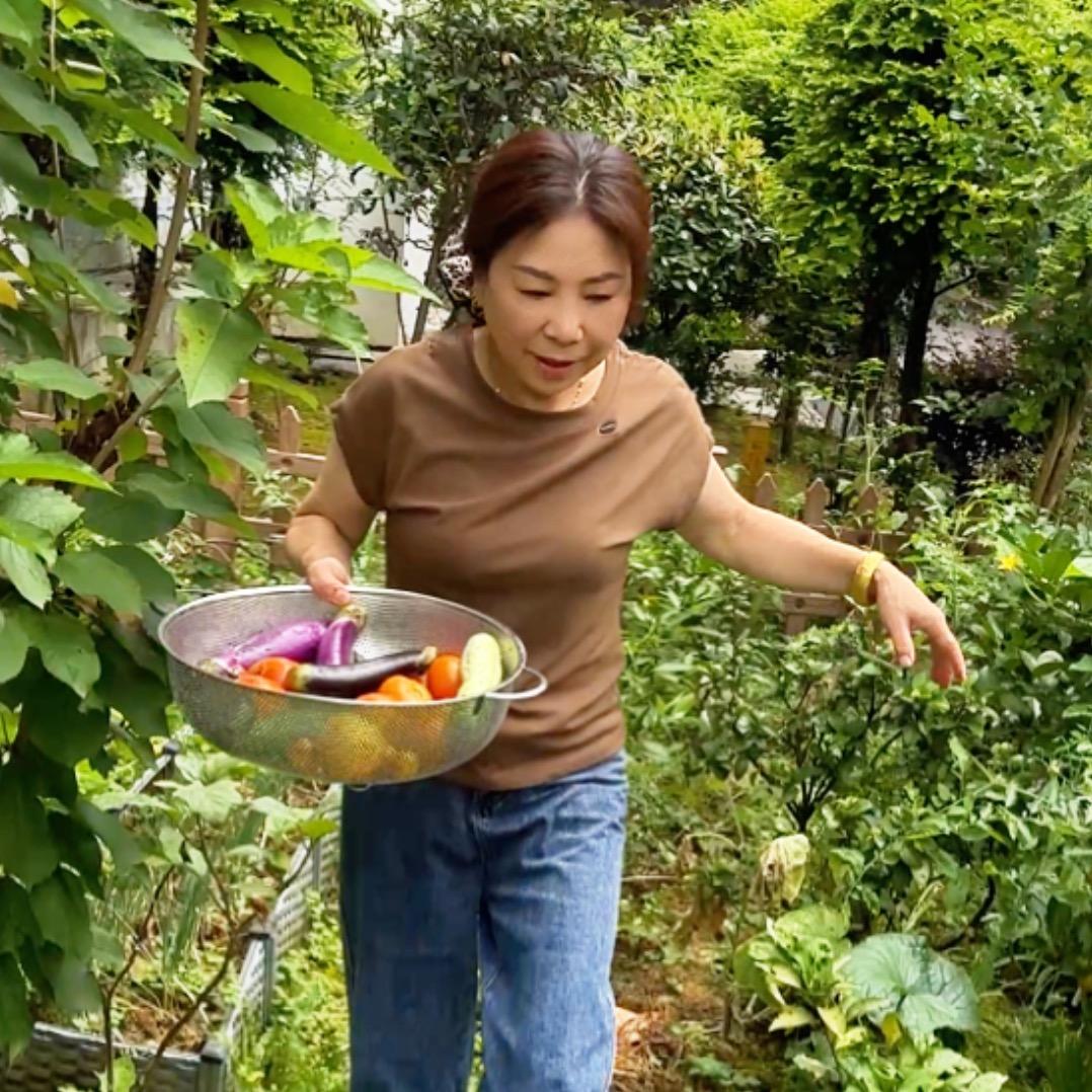 梦姐