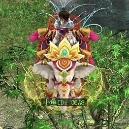 问道小鱼