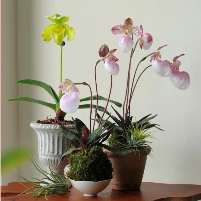 青植小筑