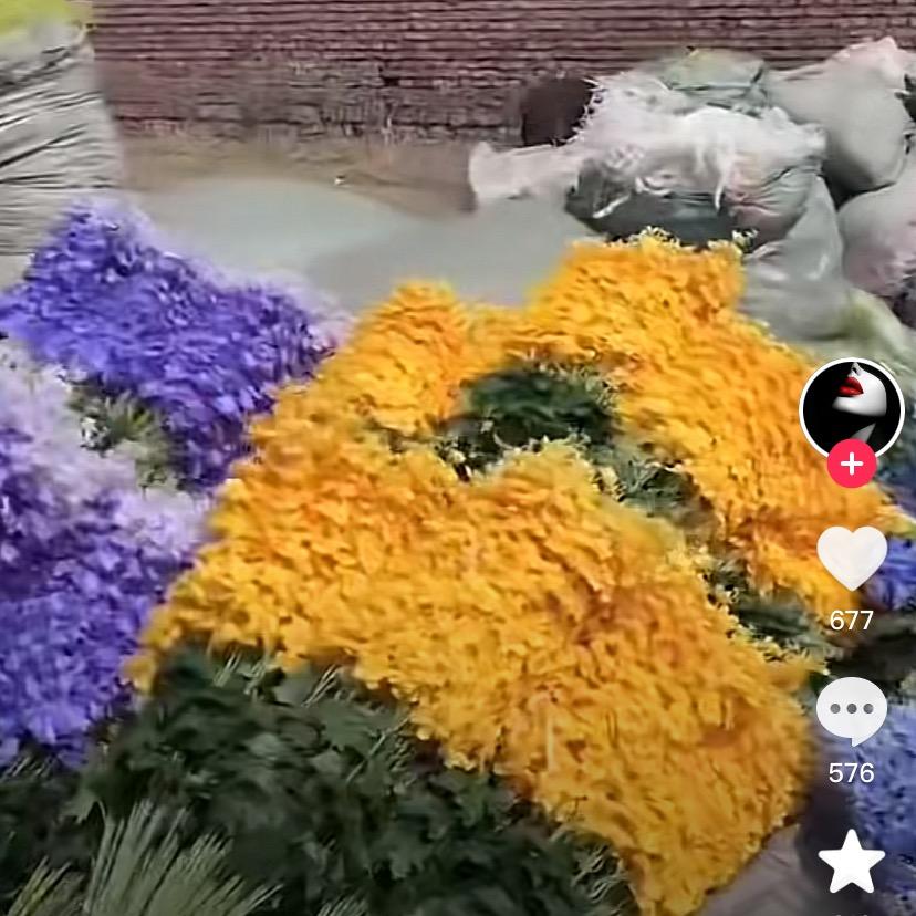 矿泉水哈哈