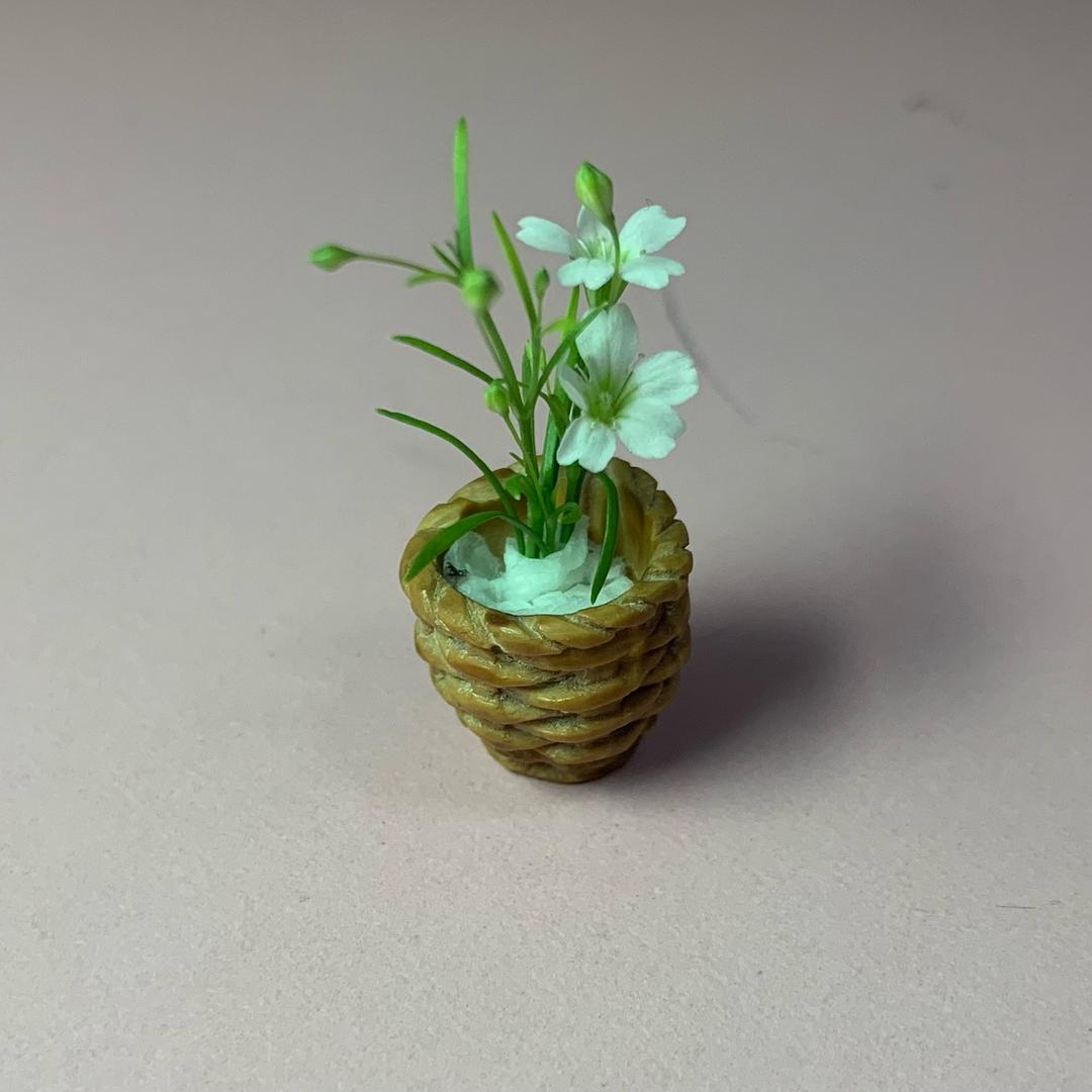 小宝