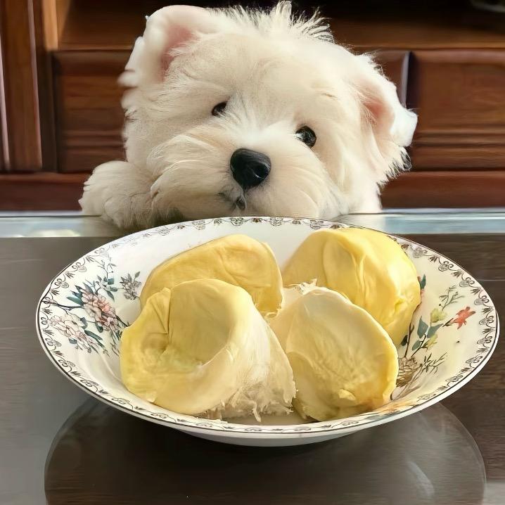 立早^