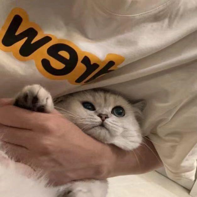 Yu.