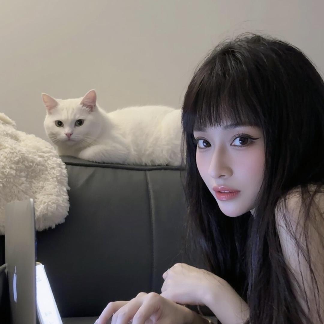 呆呆ღ