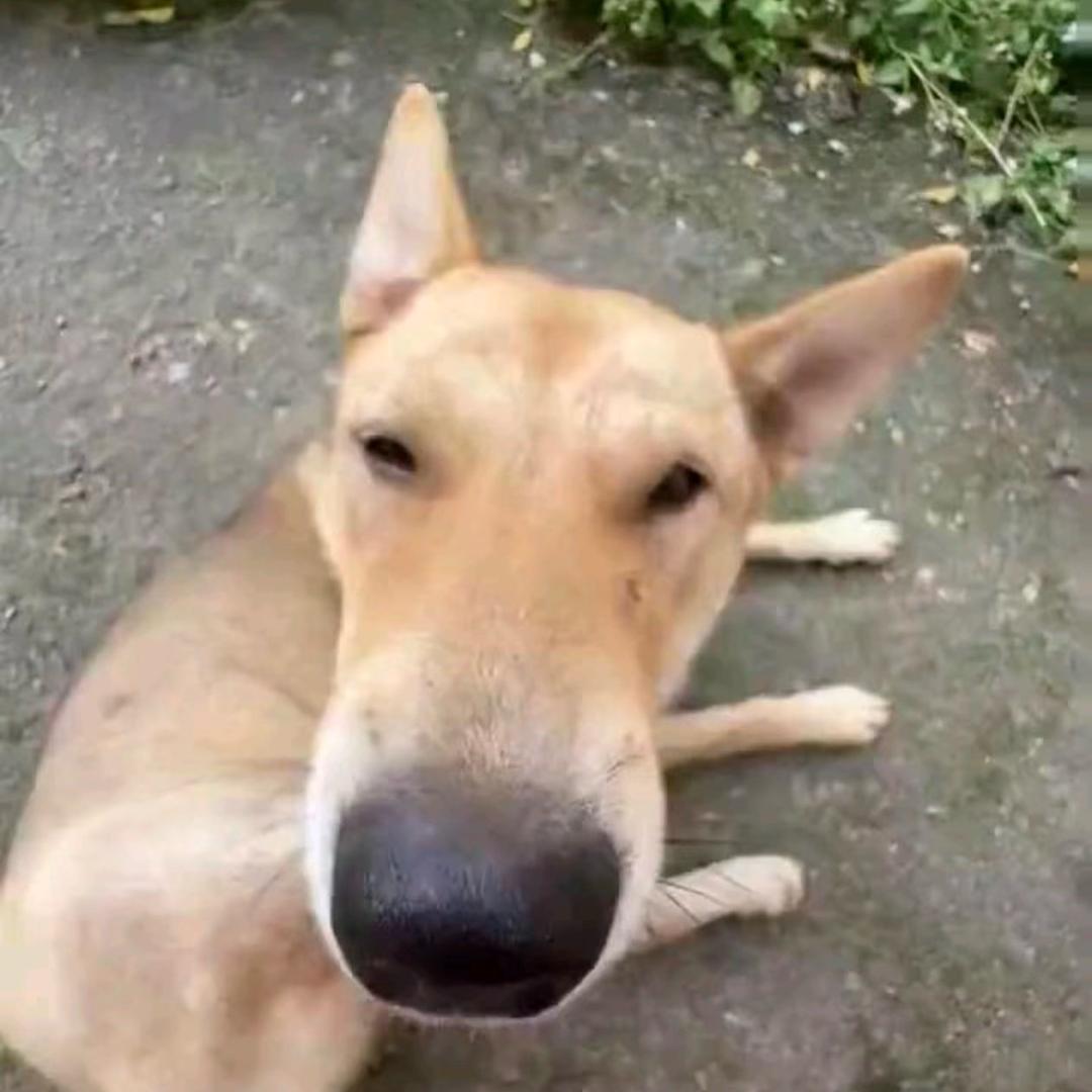 进击的西西弗斯