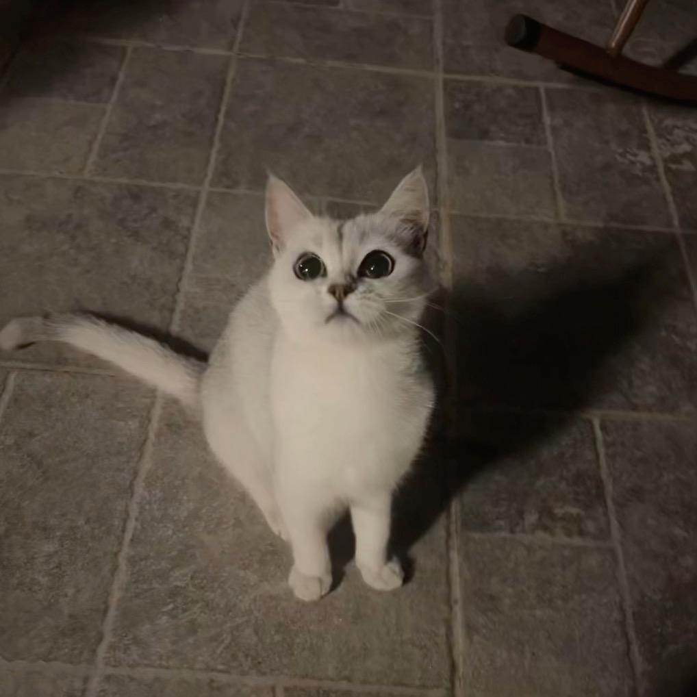 霍同学🇨🇳🥋