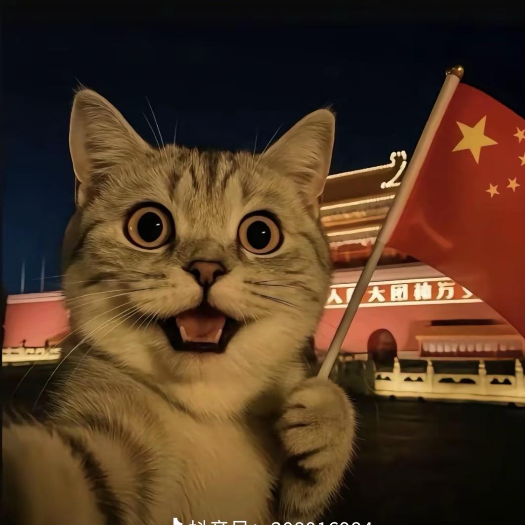 周五了吗･ᴗ･꧞