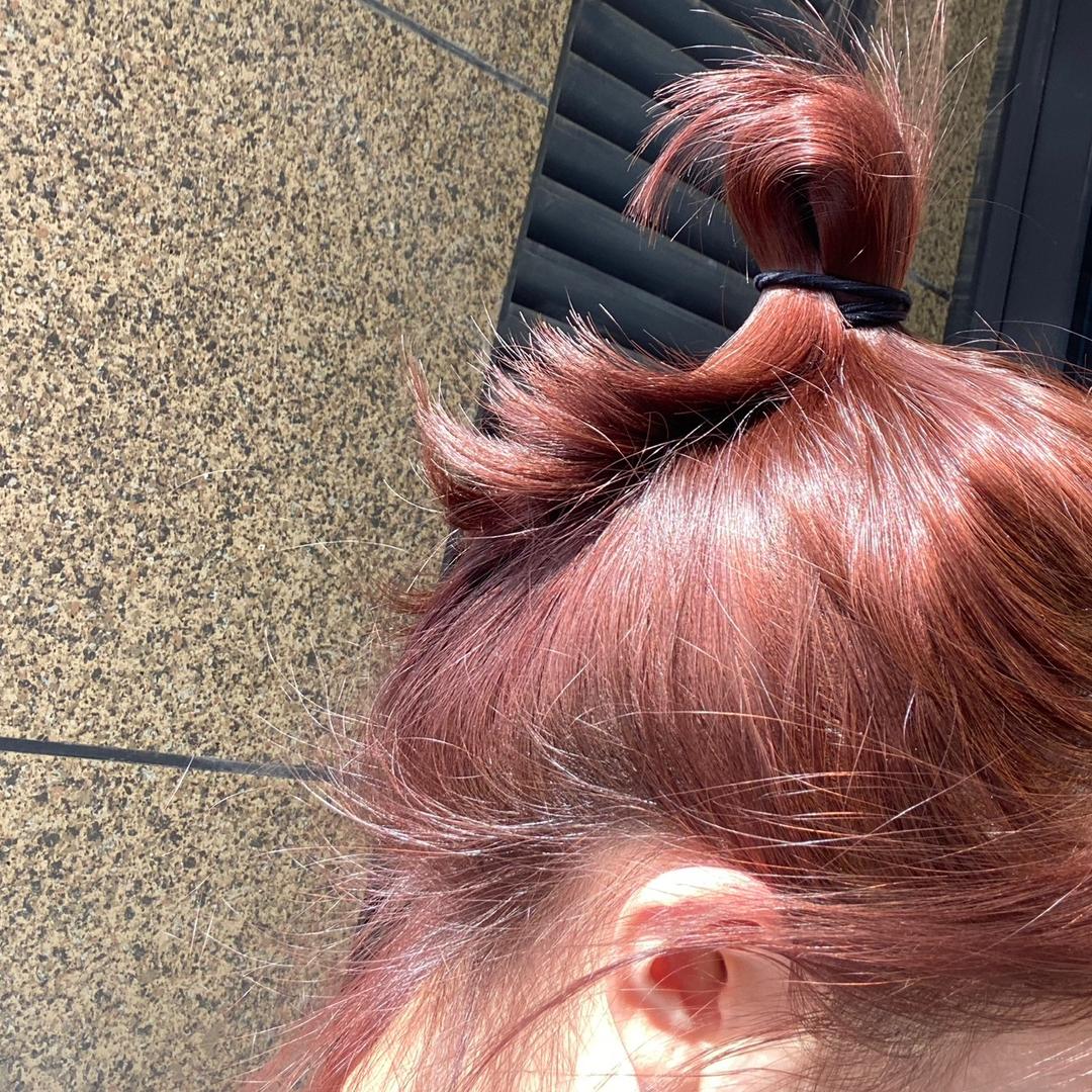 李杨爱吃香菜、