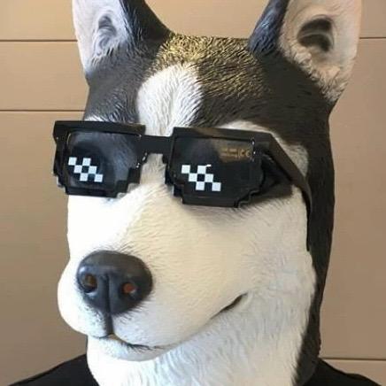 狗头军师