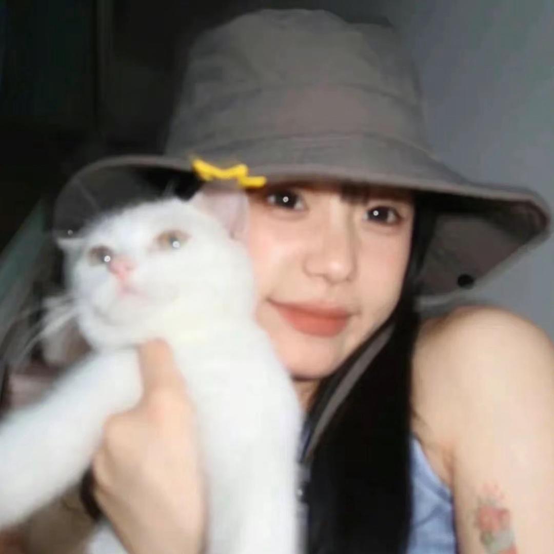 翻翻.