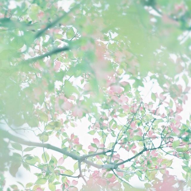 冰点