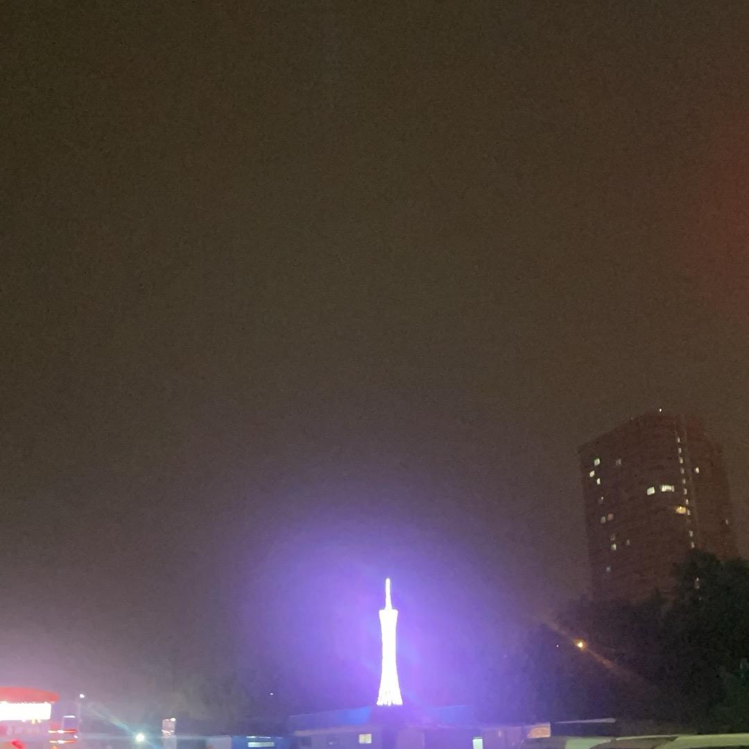 维也纳看🌊