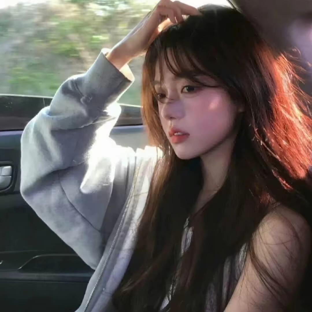 猫奴.挚爱夏天感.🌱