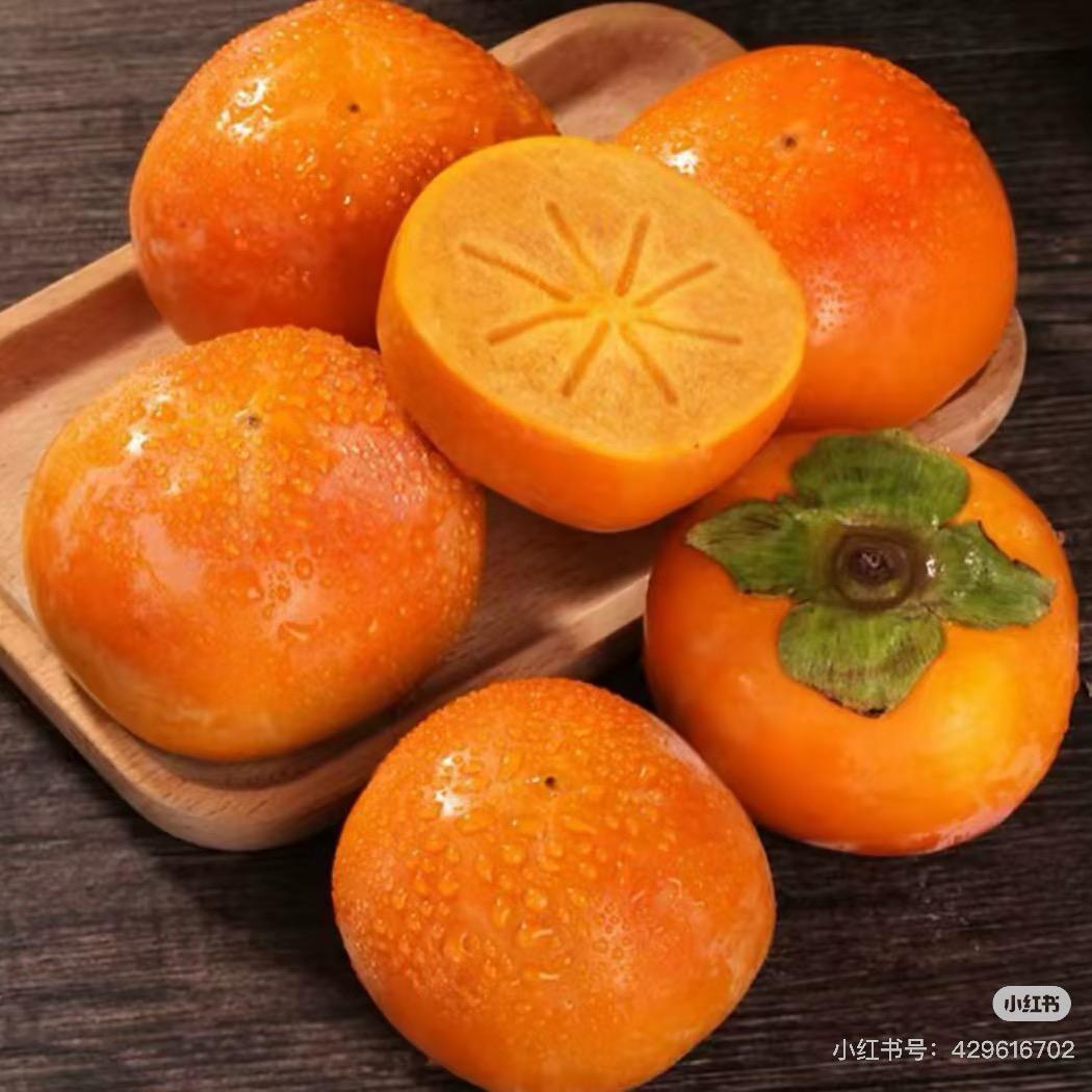 大小姐优选