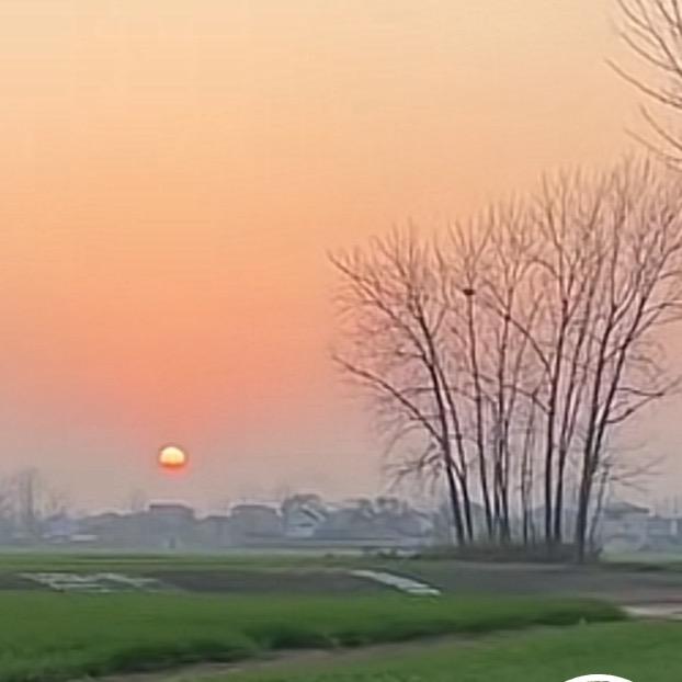 只爱你三年