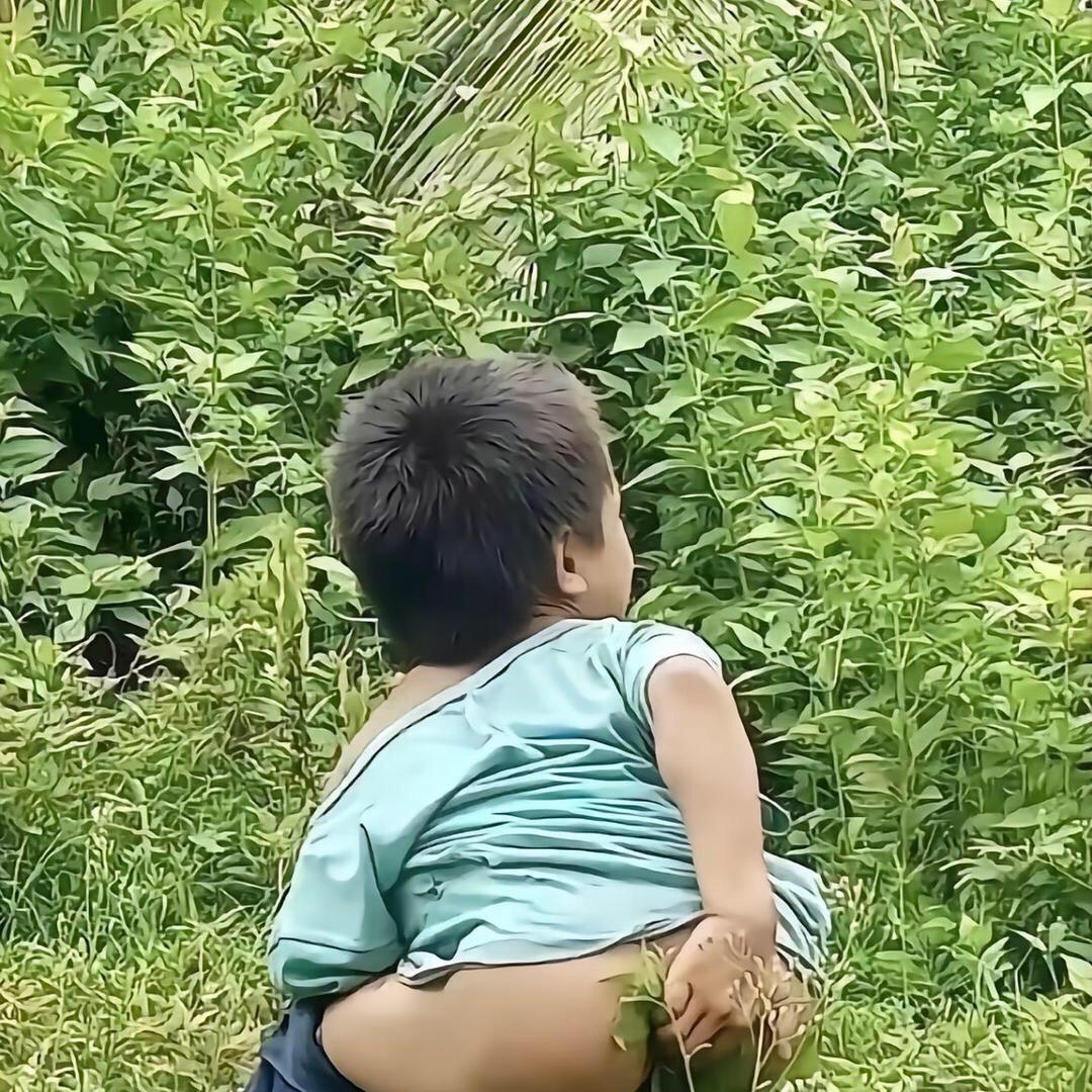 可楽