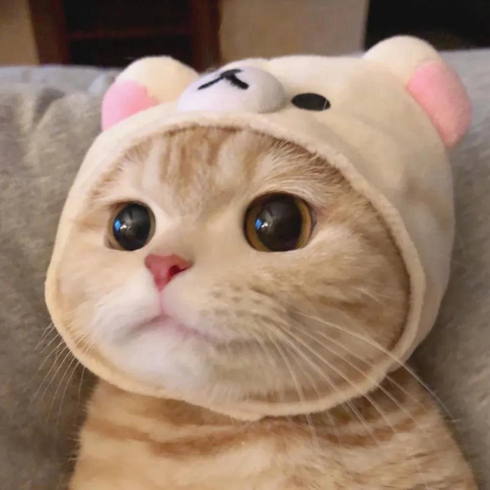 七星华誉大酒店💰多多