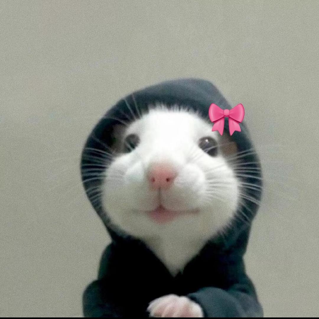 圈圈