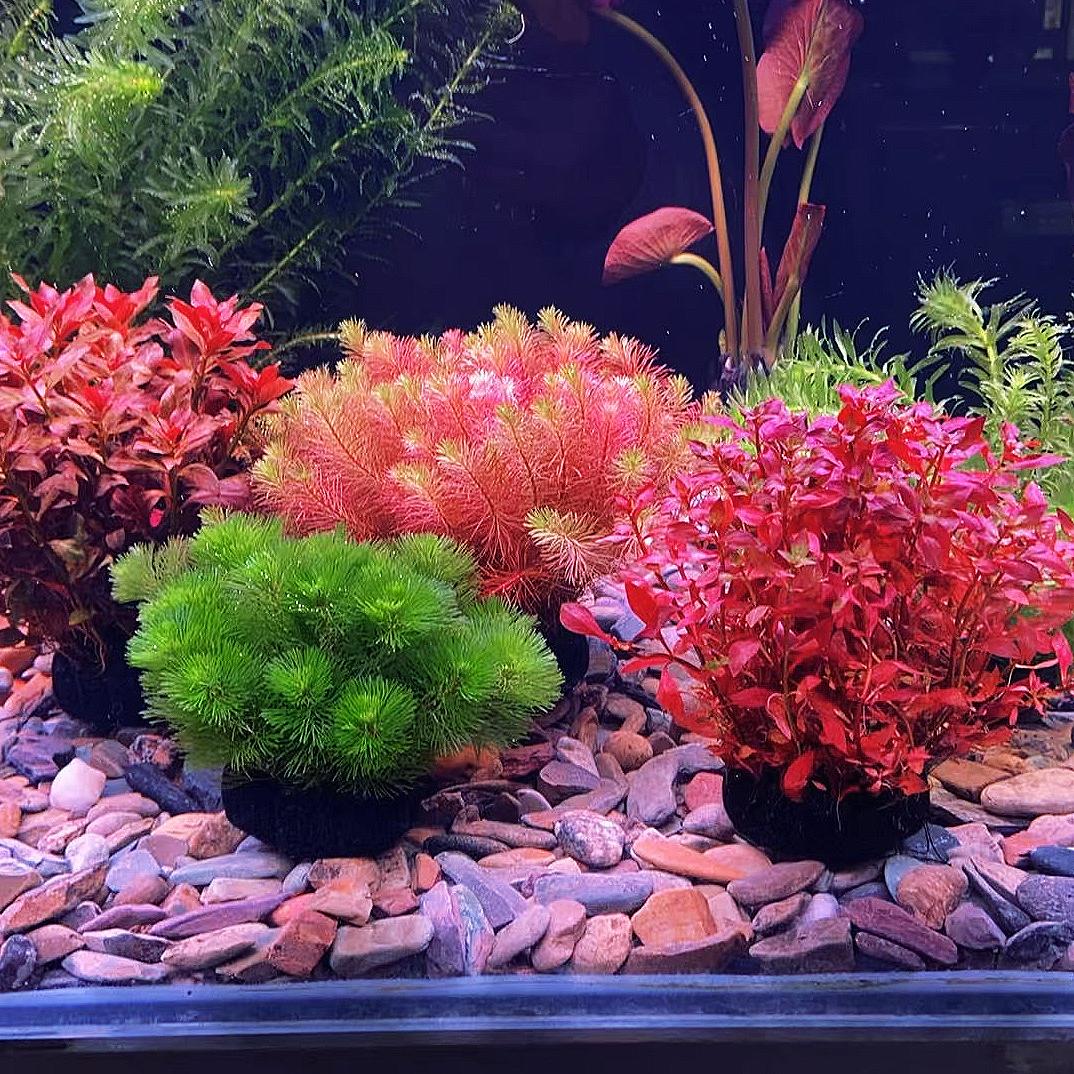 涛涛水族馆