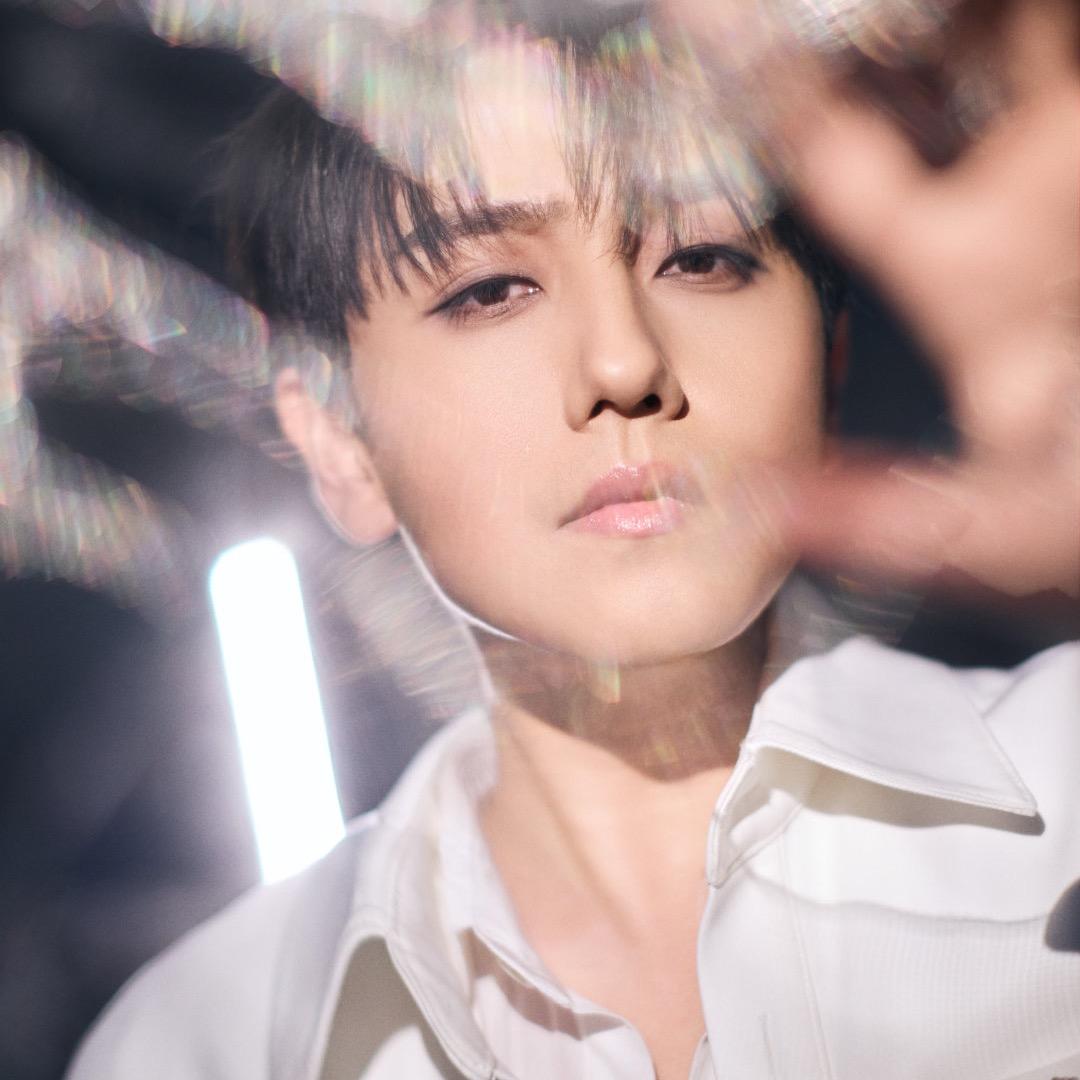 赵阿薰的小恐龙🦖