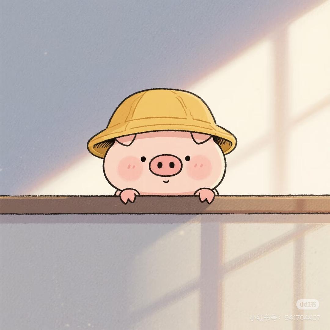 吱屋猪🐽