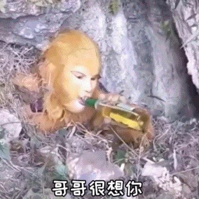 粥粥不打龟ᕕ😆ᕗ