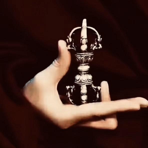 🥀短发第子😜