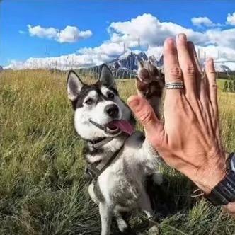 挣够三千万就收手