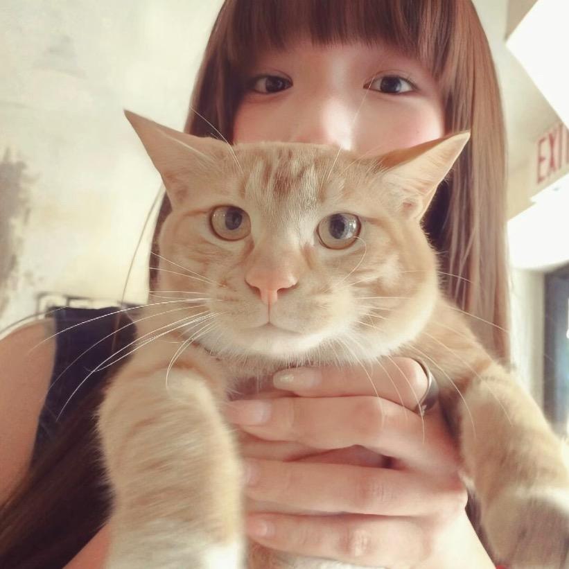 加菲猫^ w ^ 🐈