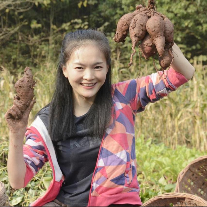 川渝乡琴土特产（专业配比麻辣香肠佐料）