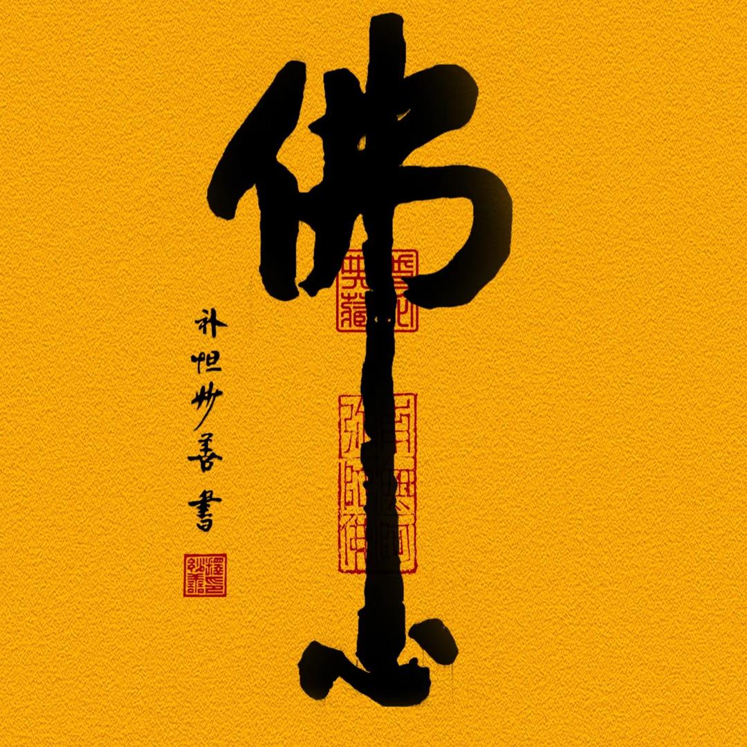 普陀山小哲