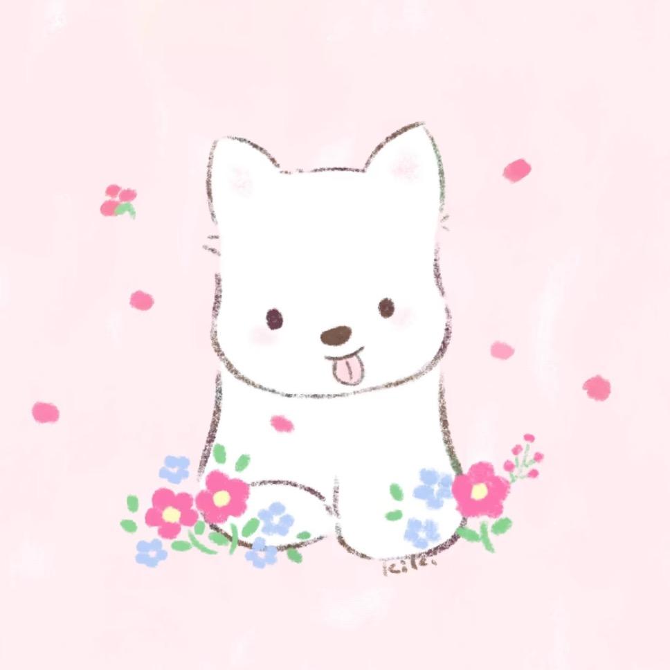 小酒窝🫧
