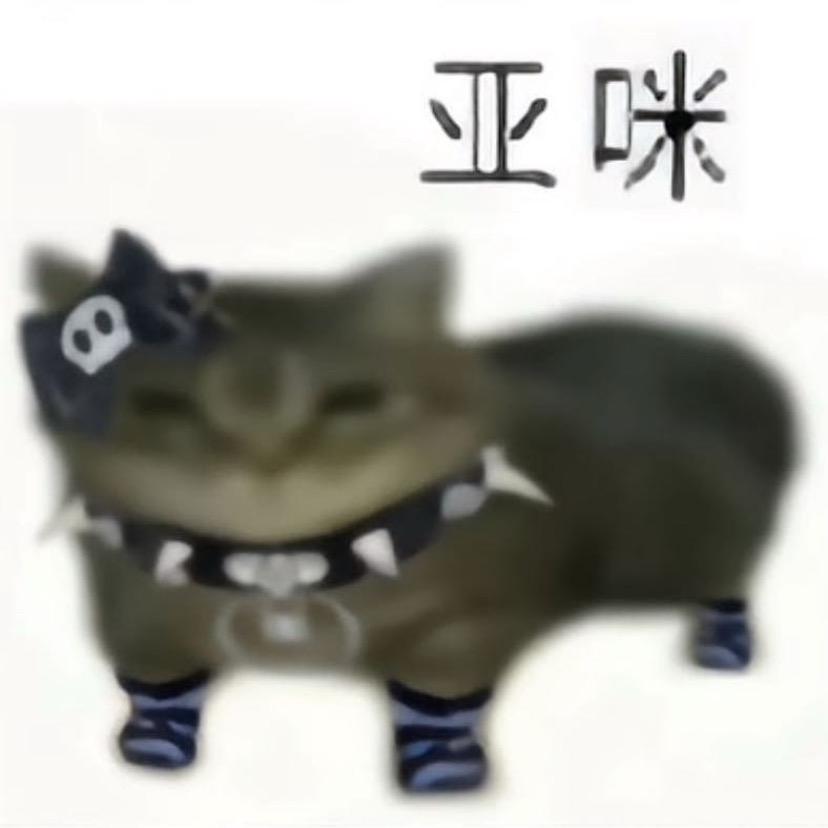会来月经的张飞🐾